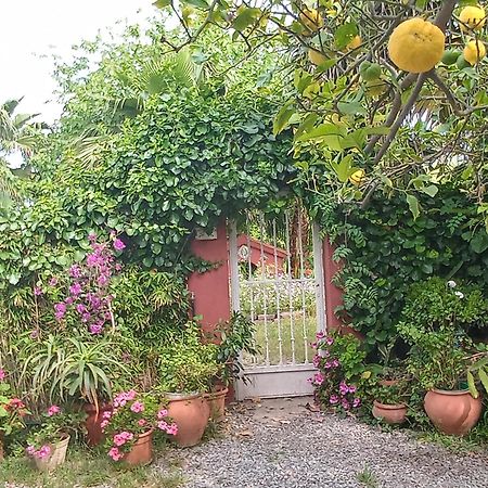 Casa Con Jardin Frente Playa De Burriana Villa Ruang foto