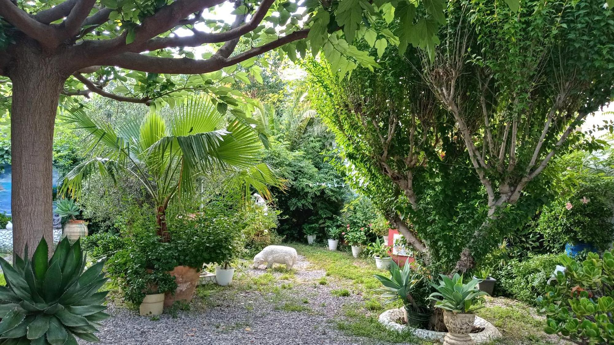 Casa Con Jardin Frente Playa De Burriana Villa Ruang foto