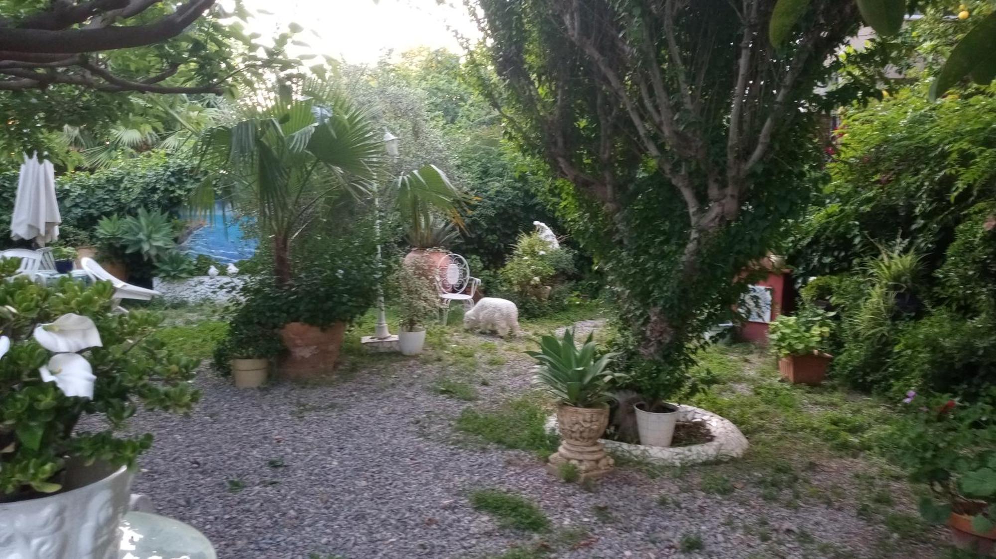 Casa Con Jardin Frente Playa De Burriana Villa Ruang foto