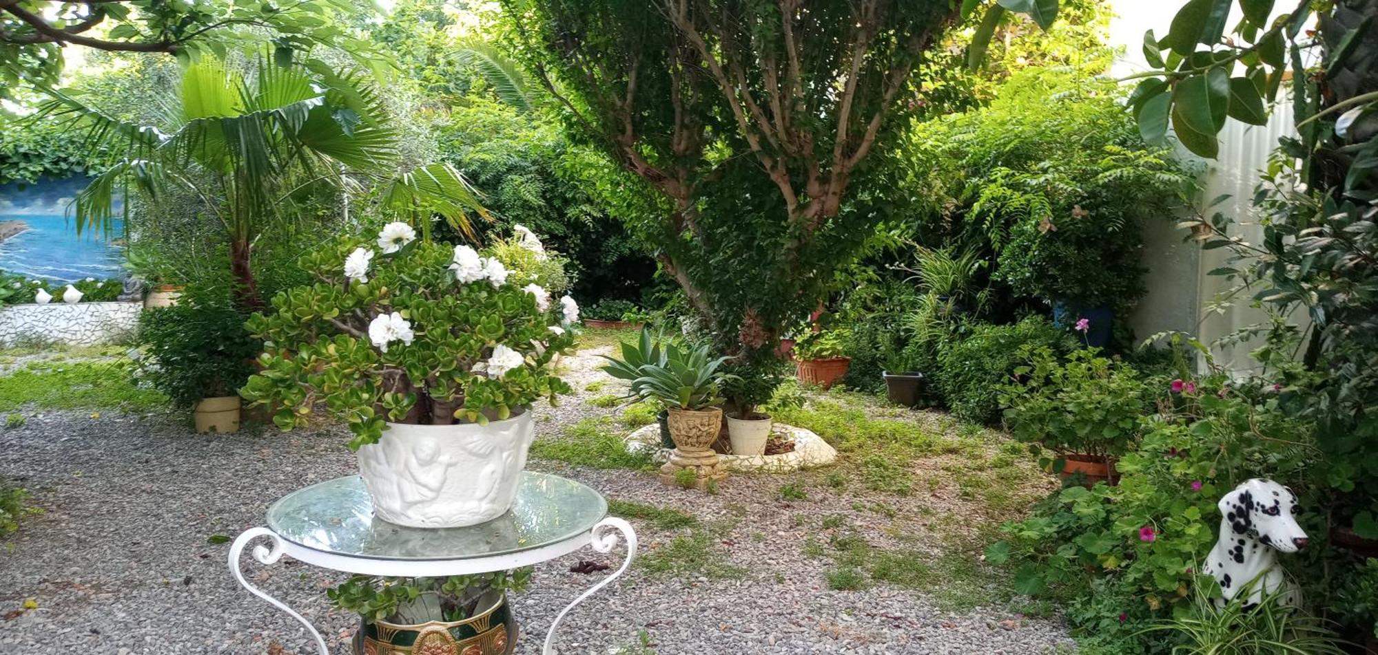 Casa Con Jardin Frente Playa De Burriana Villa Ruang foto