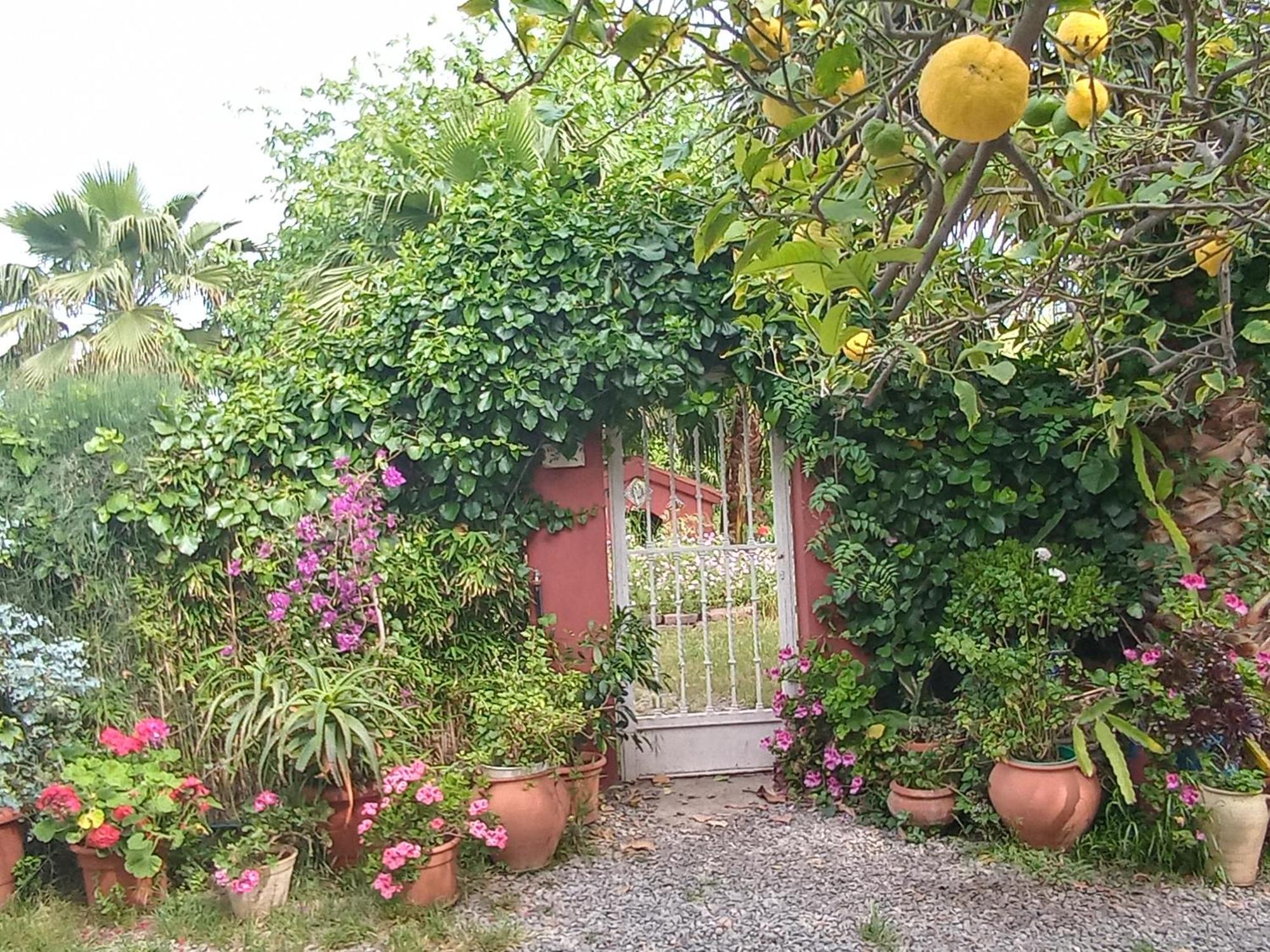 Casa Con Jardin Frente Playa De Burriana Villa Ruang foto