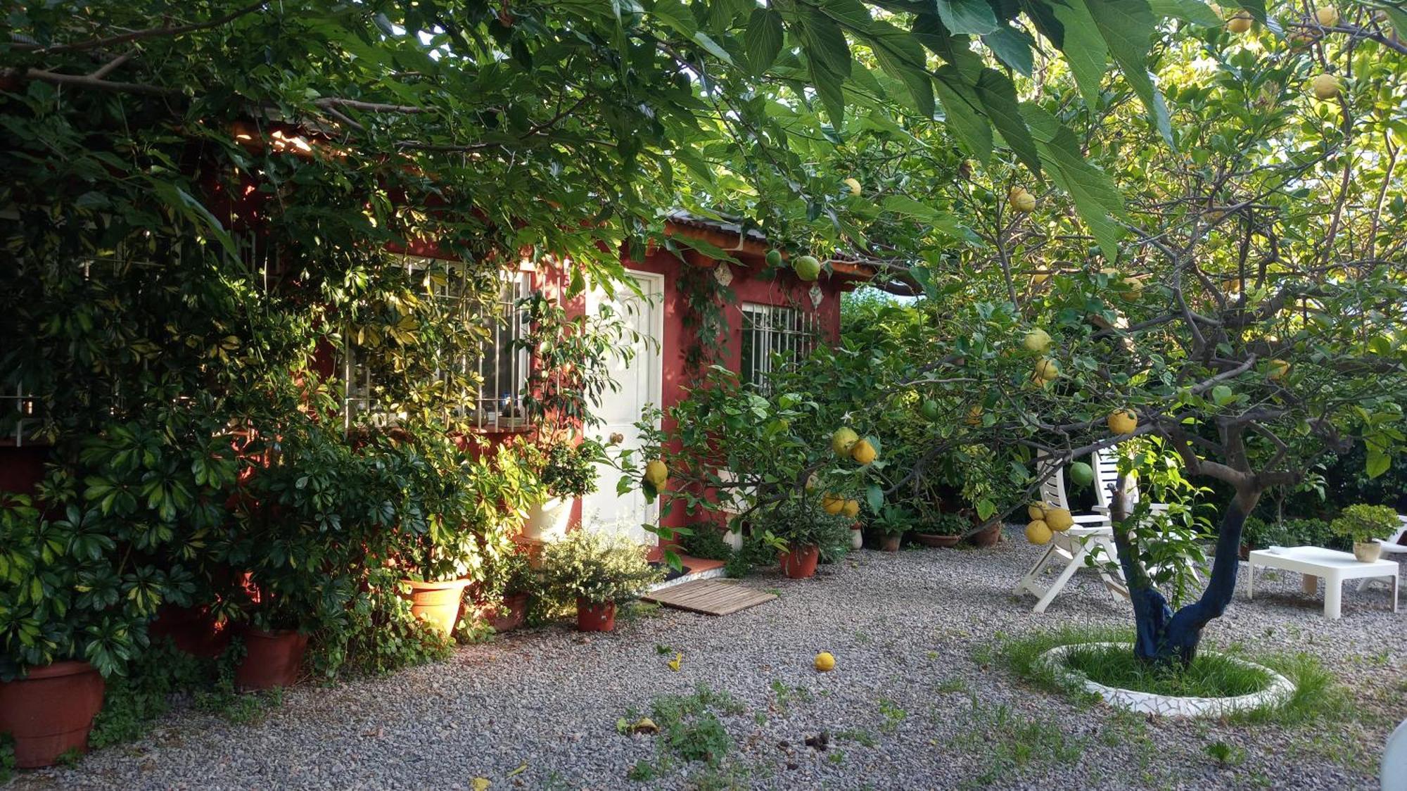 Casa Con Jardin Frente Playa De Burriana Villa Ruang foto