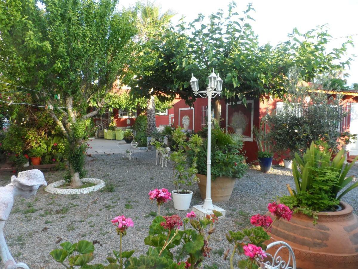 Casa Con Jardin Frente Playa De Burriana Villa Bagian luar foto